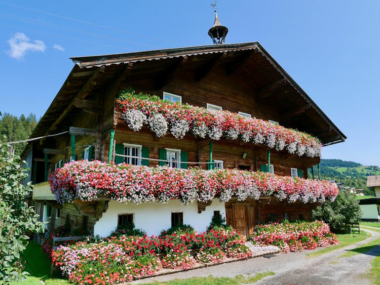 Ferienhaus