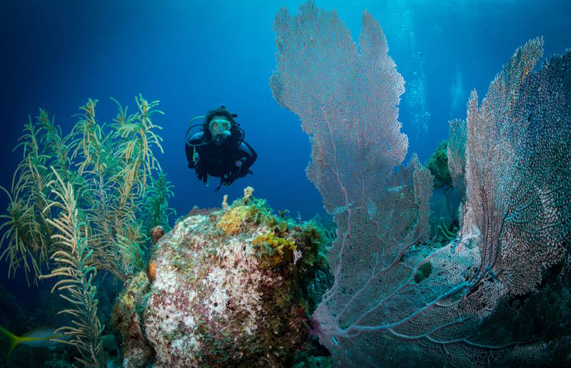 Tauchen Bonaire