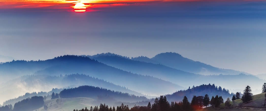 Schwarzwald