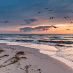 Dänemark Küstenregionen