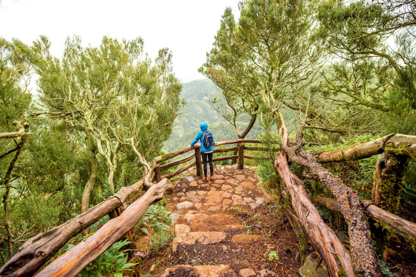 Nationalpark Garajonay